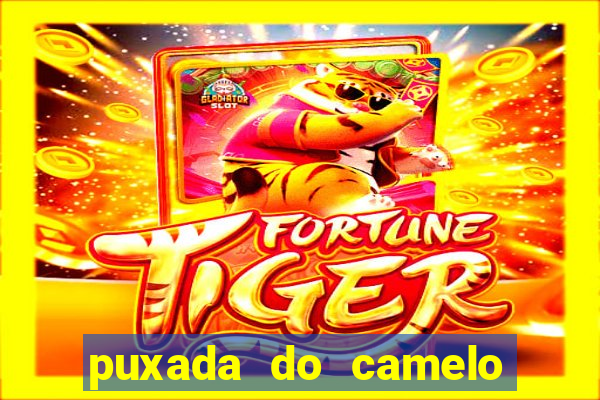 puxada do camelo no jogo do bicho